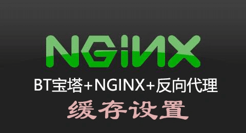BT宝塔Nginx反向代理导致WordPress登陆问题_以行践言