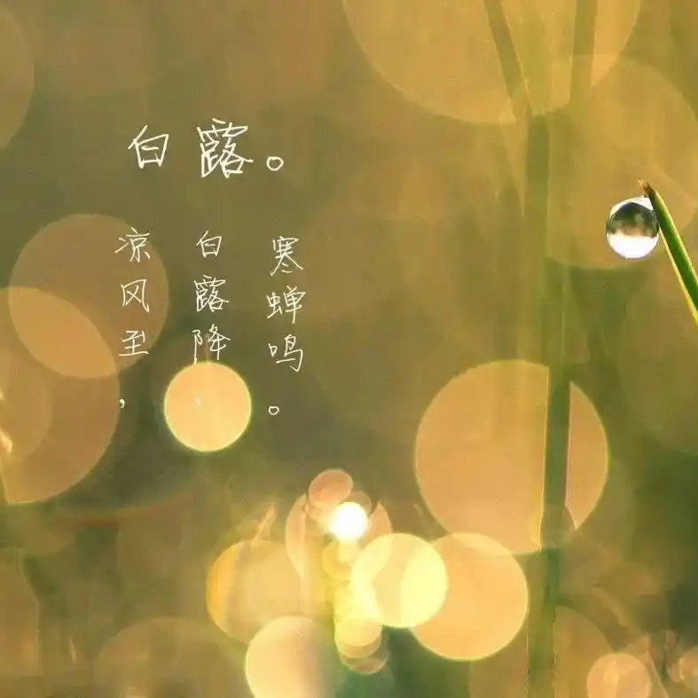 白露_以行践言