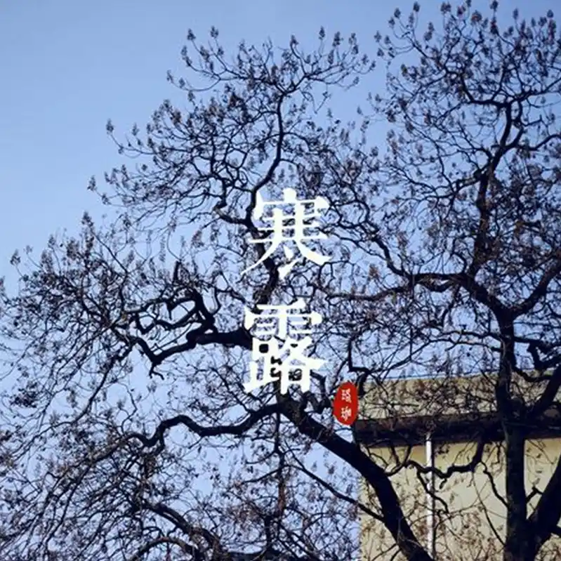 寒露_以行践言