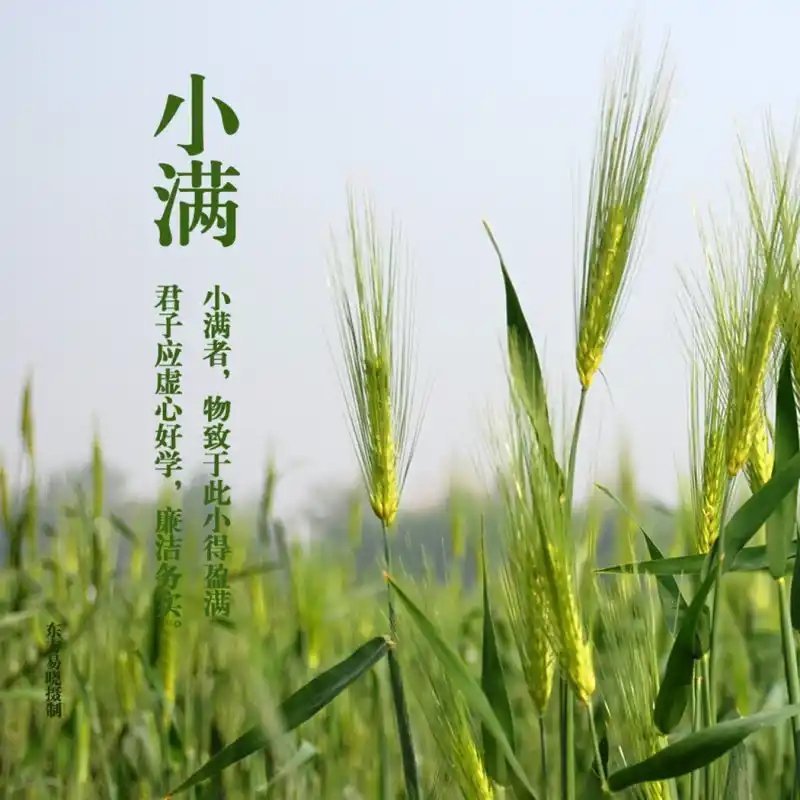 小满_以行践言