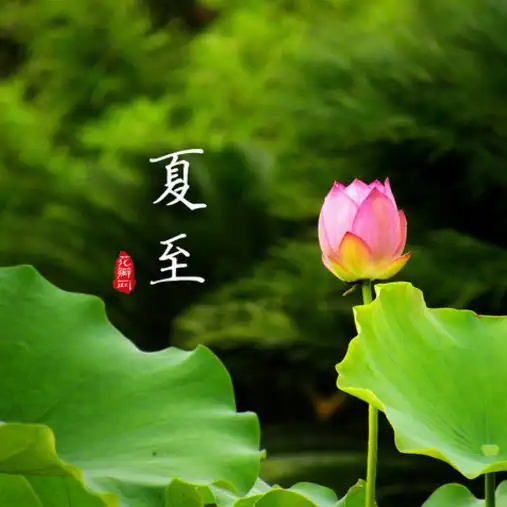 夏至_以行践言