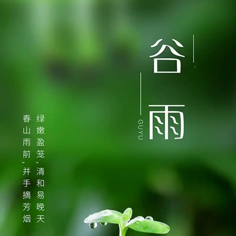 谷雨_以行践言