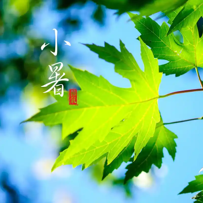 小暑_以行践言
